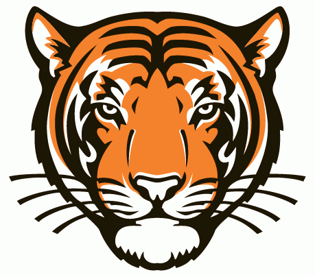 Princeton Tigers 2003-Pres Alternate Logo iron on transfers for fabric